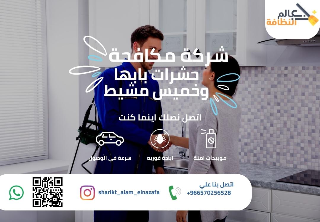 شركة مكافحة حشرات بابها وخميس مشيط