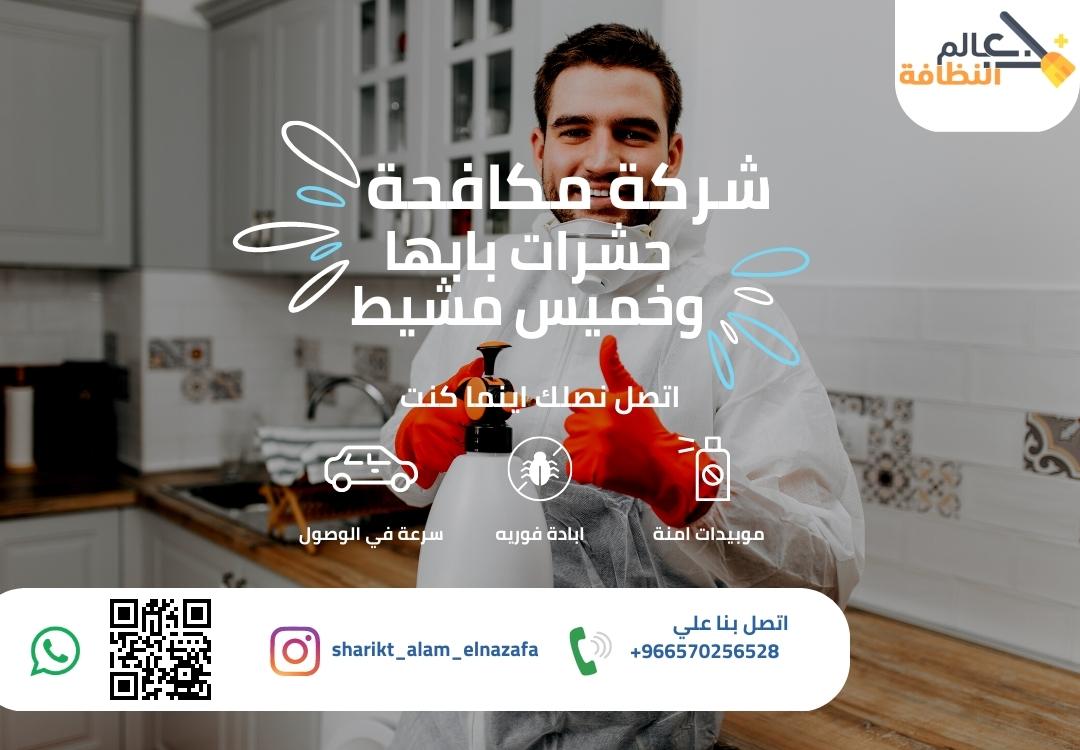 شركة عالم النظافة لابادة جميع انواع الحشرات